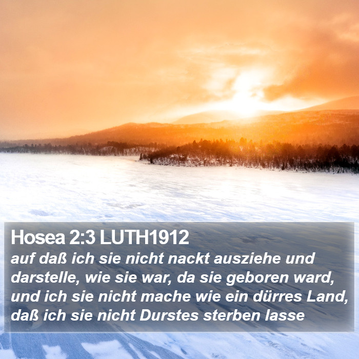 Hosea 2:3 LUTH1912 Bible Study