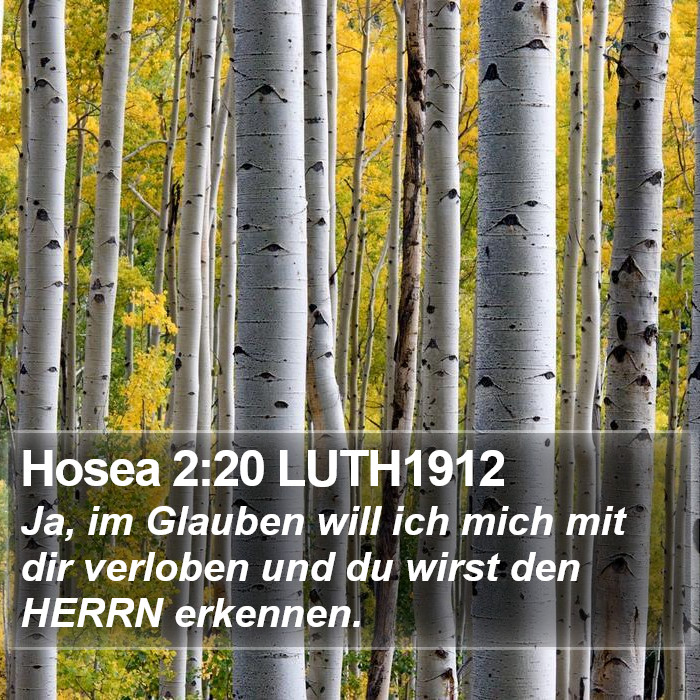 Hosea 2:20 LUTH1912 Bible Study
