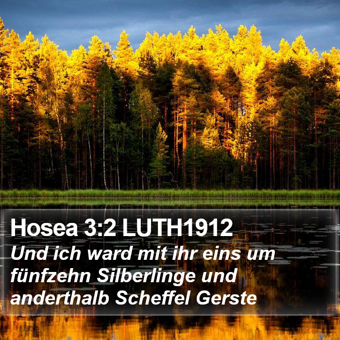Hosea 3:2 LUTH1912 Bible Study