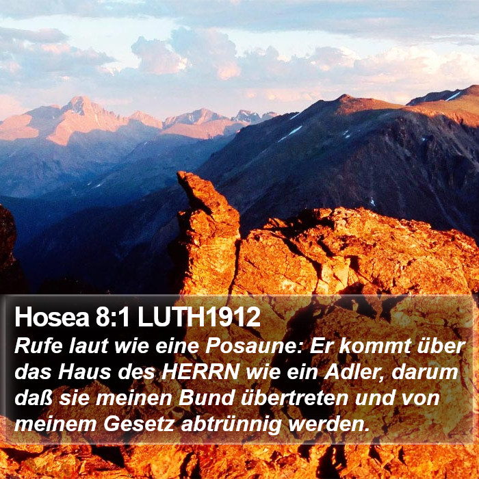 Hosea 8:1 LUTH1912 Bible Study