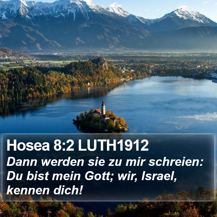 Hosea 8:2 LUTH1912 Bible Study