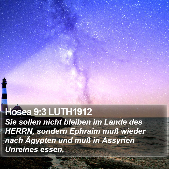 Hosea 9:3 LUTH1912 Bible Study