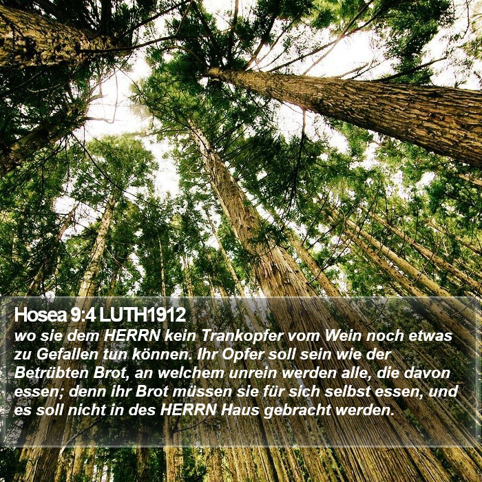 Hosea 9:4 LUTH1912 Bible Study