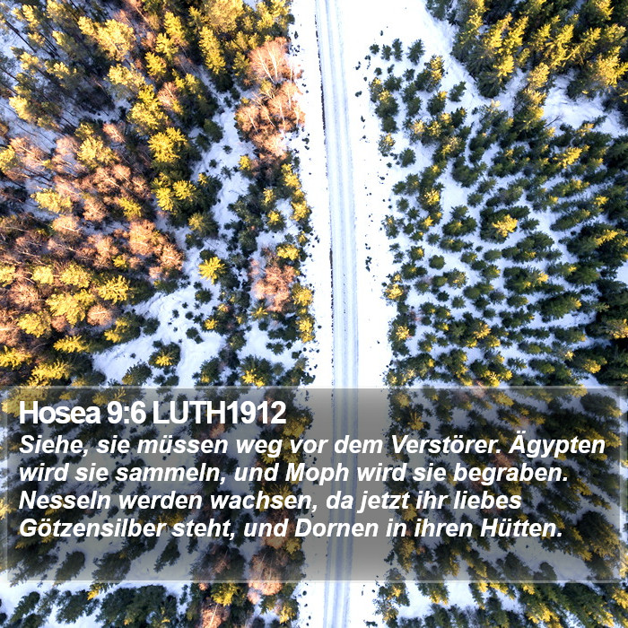 Hosea 9:6 LUTH1912 Bible Study