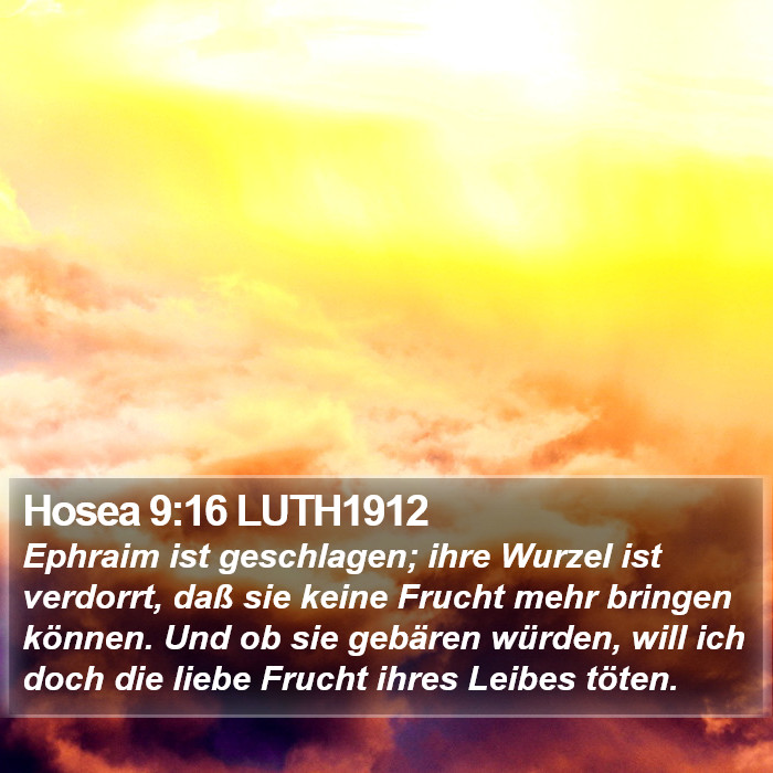 Hosea 9:16 LUTH1912 Bible Study