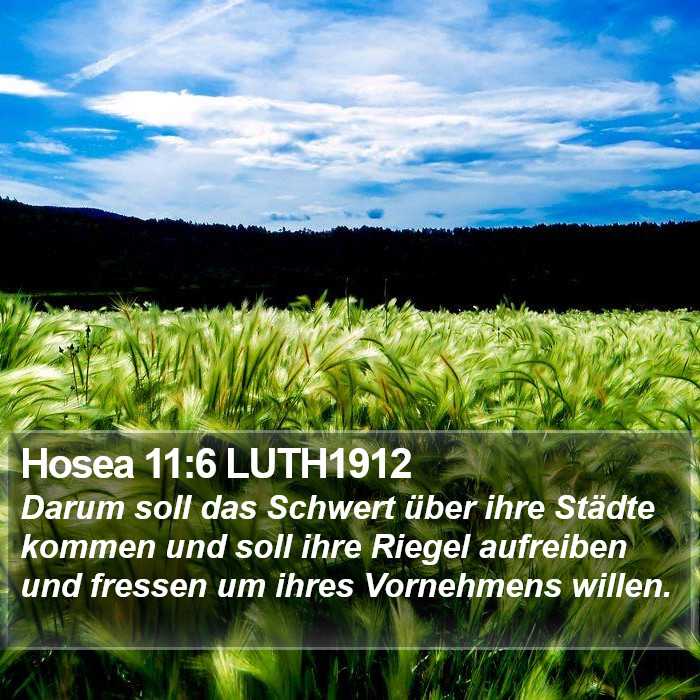 Hosea 11:6 LUTH1912 Bible Study
