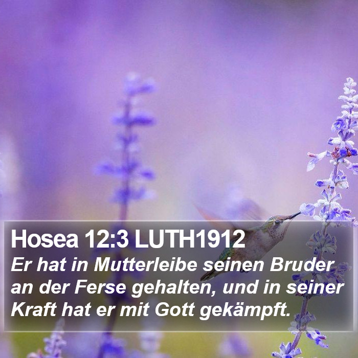 Hosea 12:3 LUTH1912 Bible Study