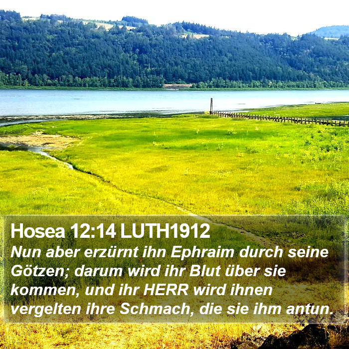 Hosea 12:14 LUTH1912 Bible Study