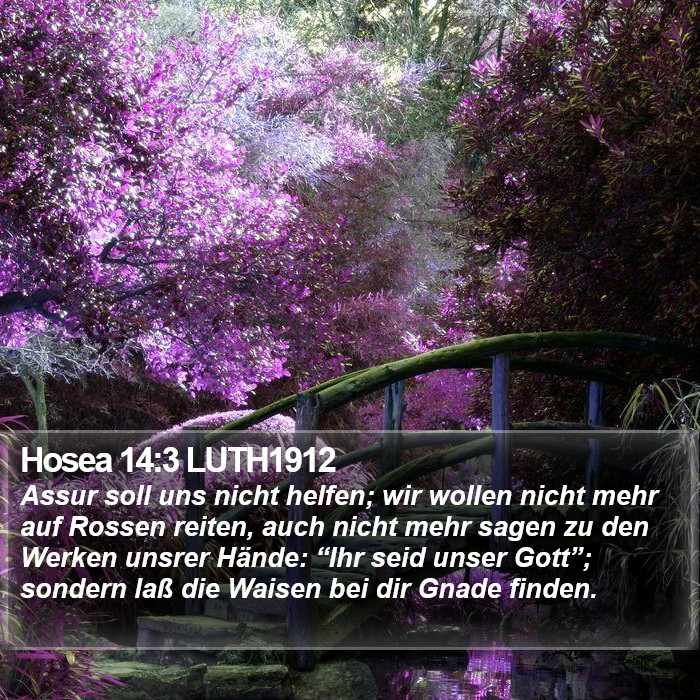 Hosea 14:3 LUTH1912 Bible Study