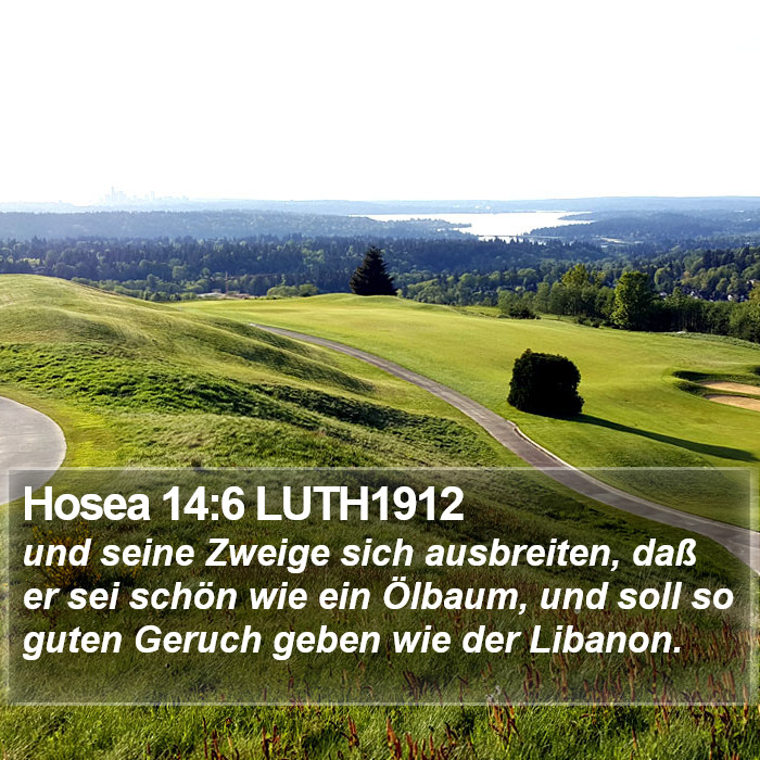 Hosea 14:6 LUTH1912 Bible Study