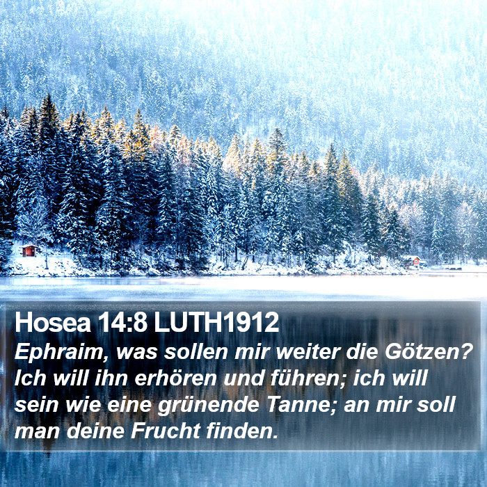 Hosea 14:8 LUTH1912 Bible Study