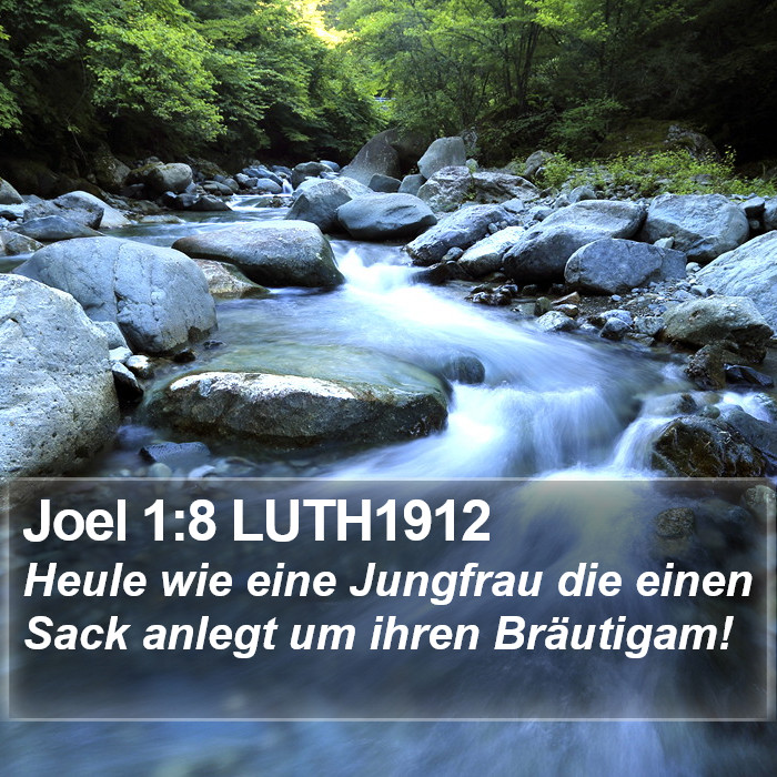 Joel 1:8 LUTH1912 Bible Study