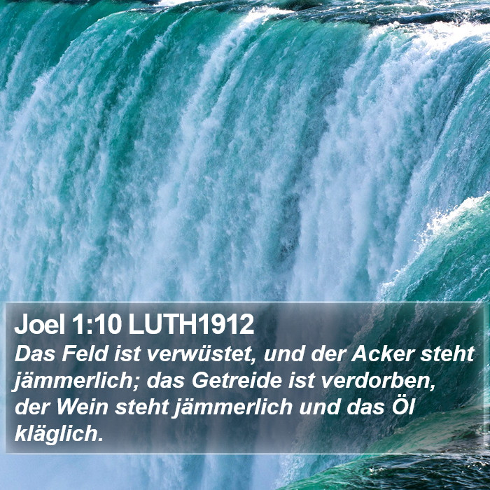 Joel 1:10 LUTH1912 Bible Study