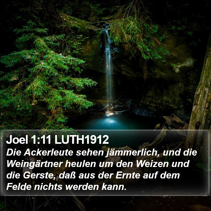 Joel 1:11 LUTH1912 Bible Study