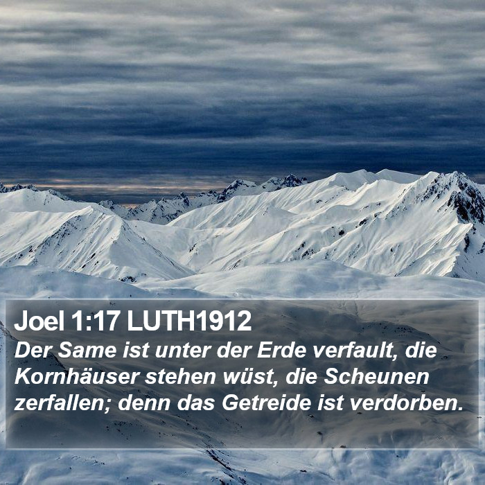 Joel 1:17 LUTH1912 Bible Study