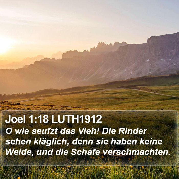 Joel 1:18 LUTH1912 Bible Study