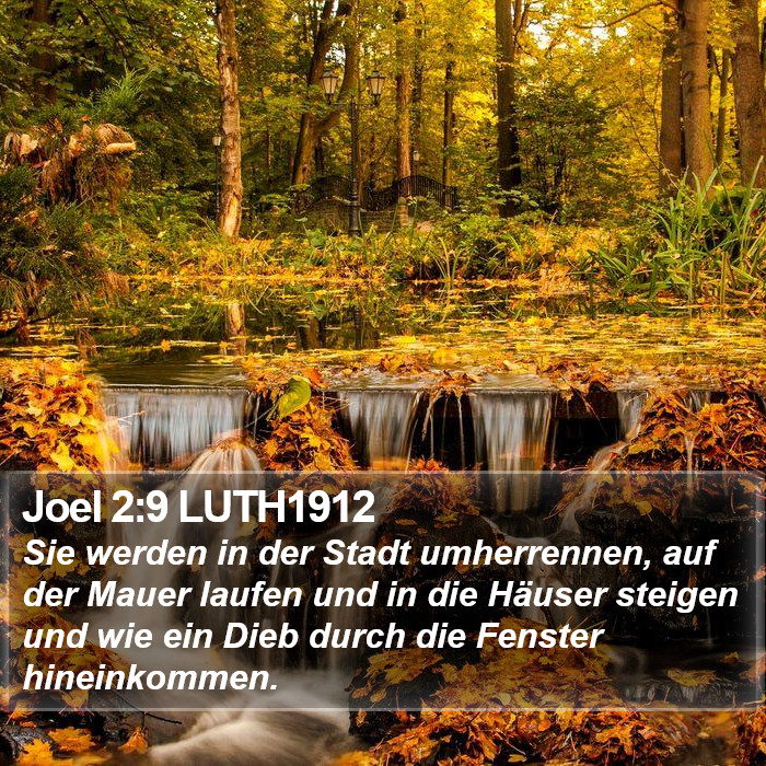 Joel 2:9 LUTH1912 Bible Study