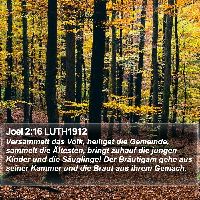 Joel 2:16 LUTH1912 Bible Study