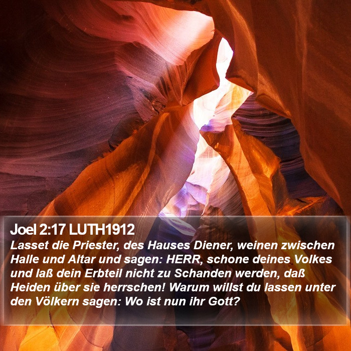 Joel 2:17 LUTH1912 Bible Study