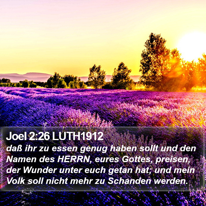 Joel 2:26 LUTH1912 Bible Study