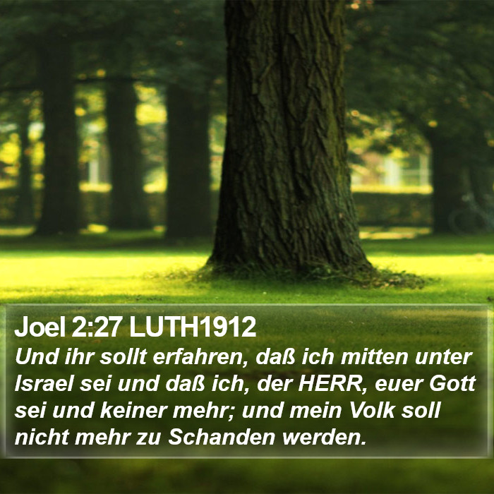 Joel 2:27 LUTH1912 Bible Study