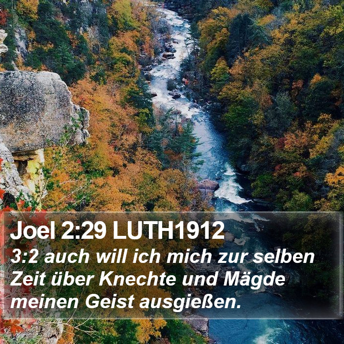 Joel 2:29 LUTH1912 Bible Study