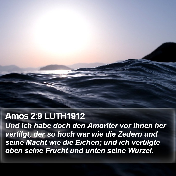 Amos 2:9 LUTH1912 Bible Study
