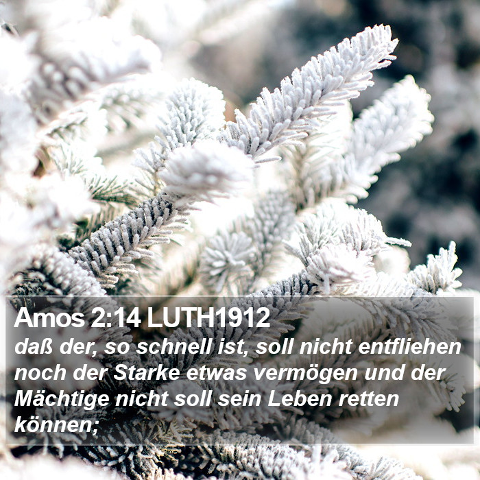 Amos 2:14 LUTH1912 Bible Study