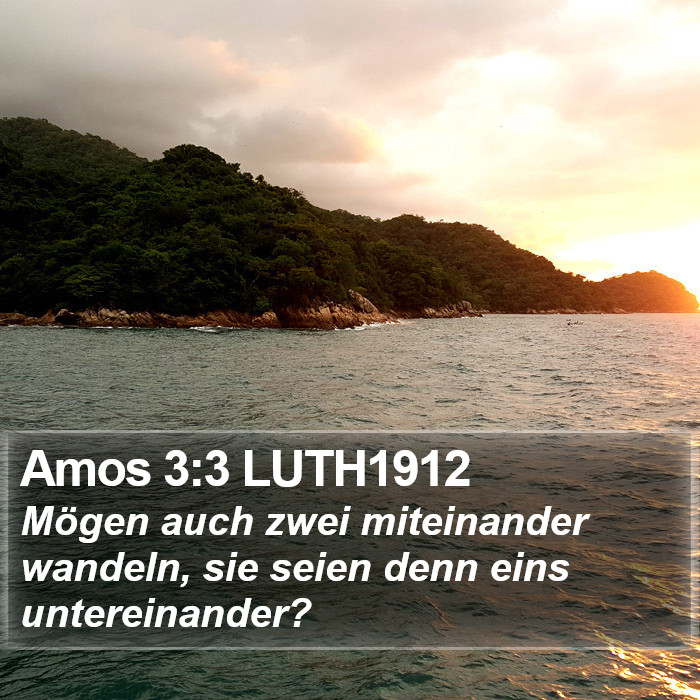 Amos 3:3 LUTH1912 Bible Study