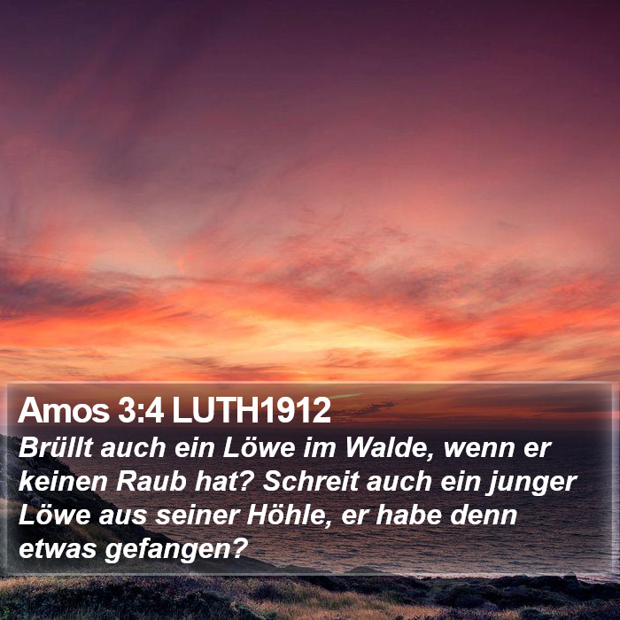 Amos 3:4 LUTH1912 Bible Study