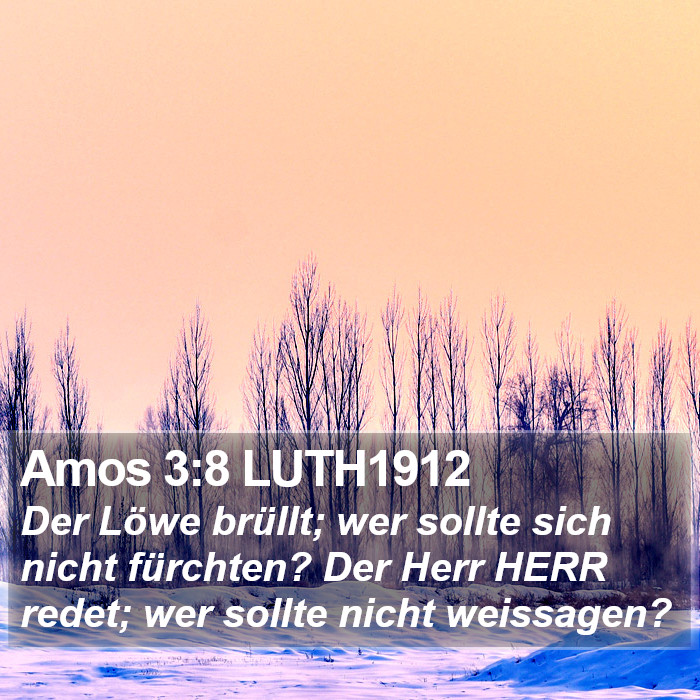 Amos 3:8 LUTH1912 Bible Study