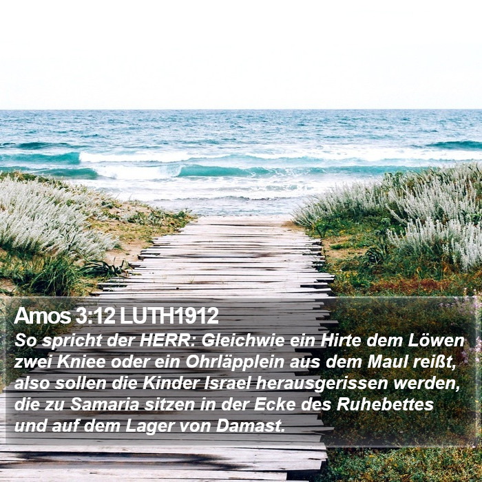 Amos 3:12 LUTH1912 Bible Study