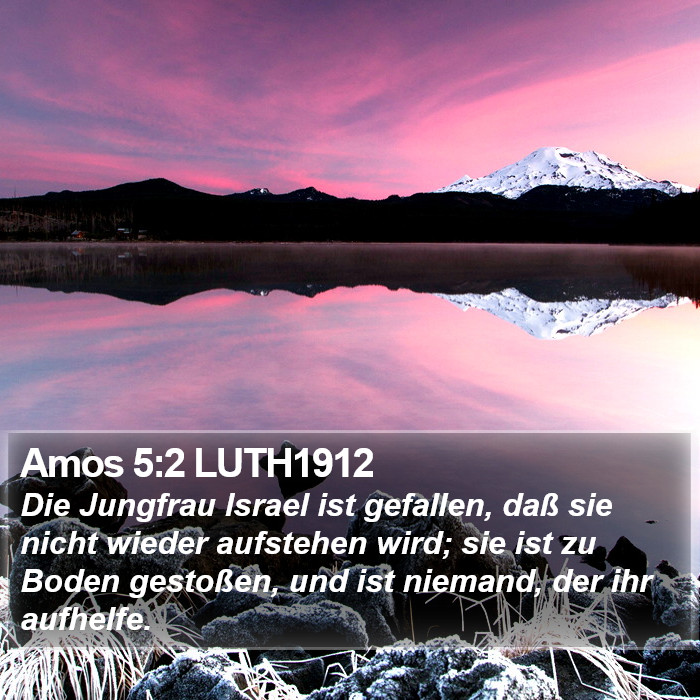 Amos 5:2 LUTH1912 Bible Study