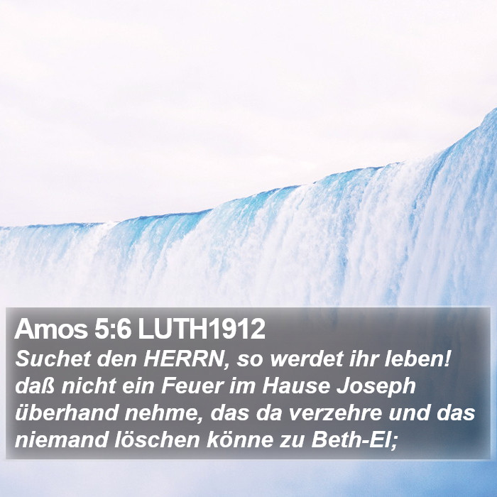 Amos 5:6 LUTH1912 Bible Study