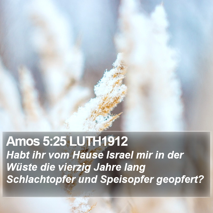 Amos 5:25 LUTH1912 Bible Study