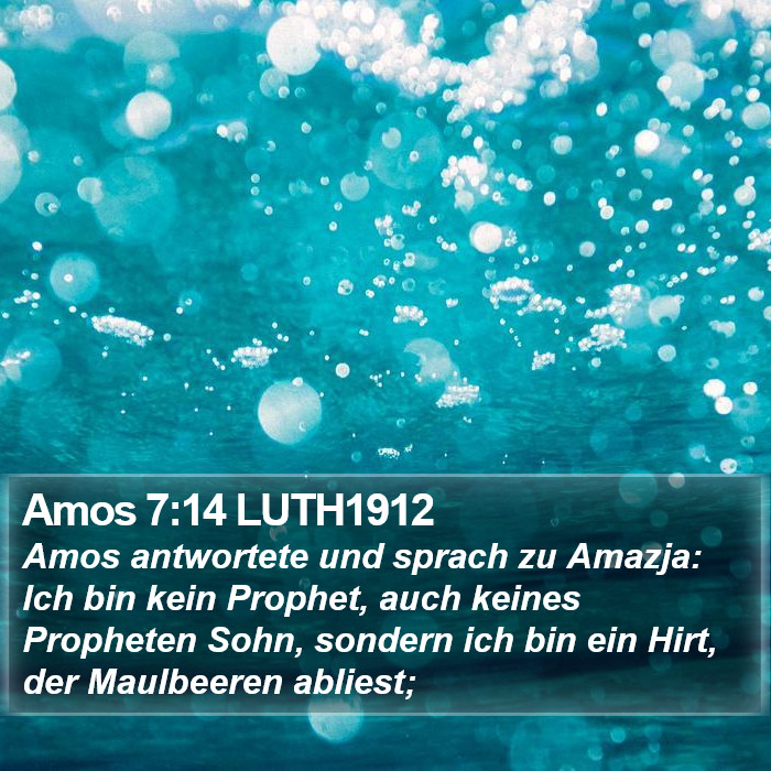 Amos 7:14 LUTH1912 Bible Study