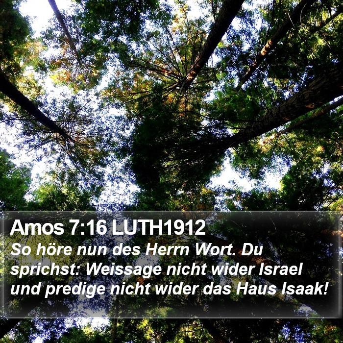 Amos 7:16 LUTH1912 Bible Study