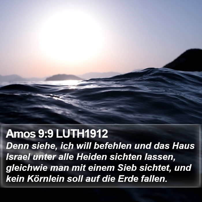 Amos 9:9 LUTH1912 Bible Study