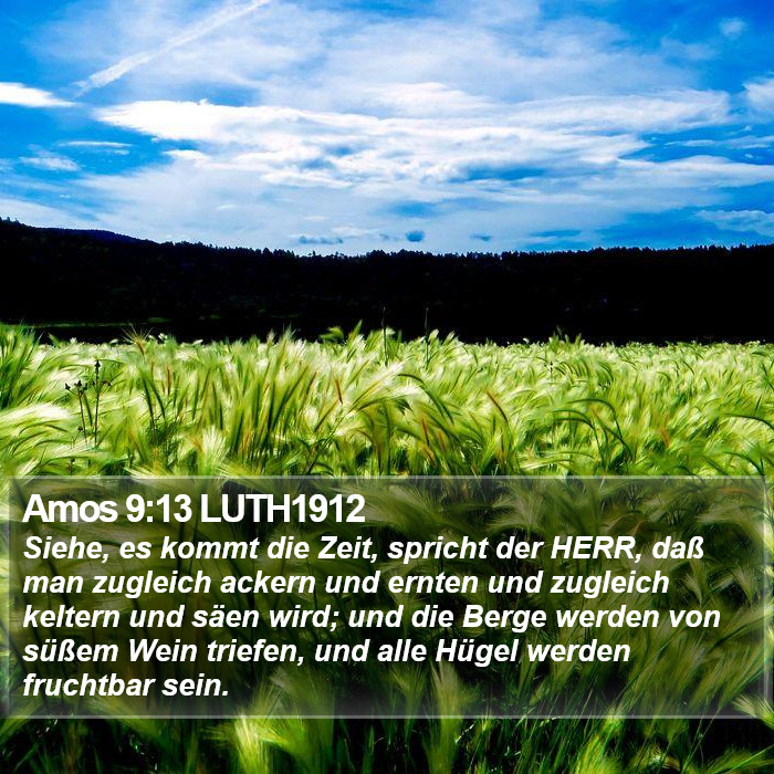 Amos 9:13 LUTH1912 Bible Study