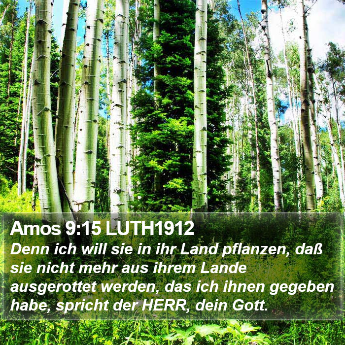 Amos 9:15 LUTH1912 Bible Study