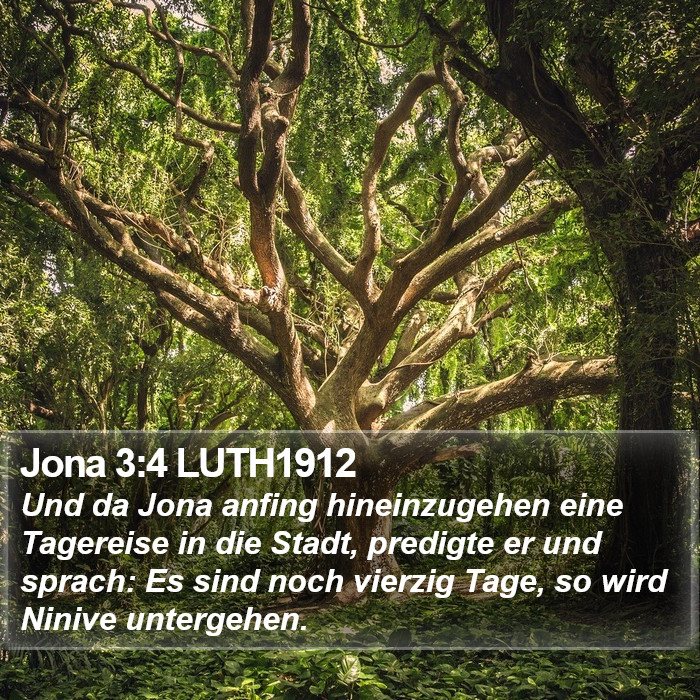 Jona 3:4 LUTH1912 Bible Study