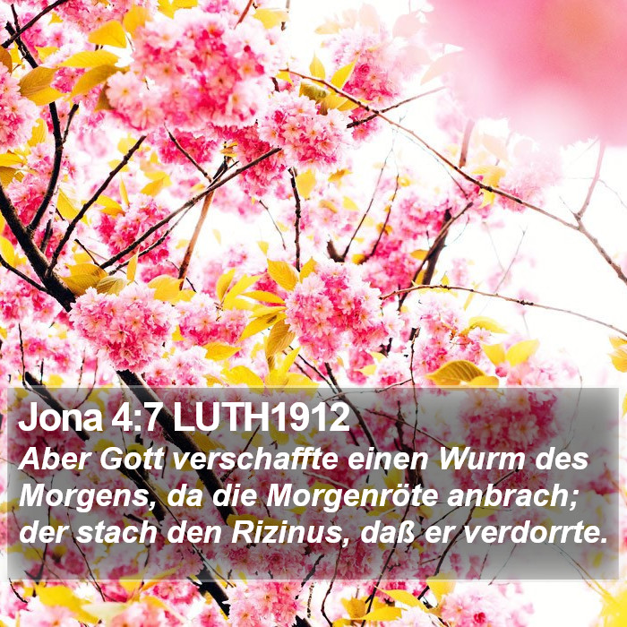 Jona 4:7 LUTH1912 Bible Study