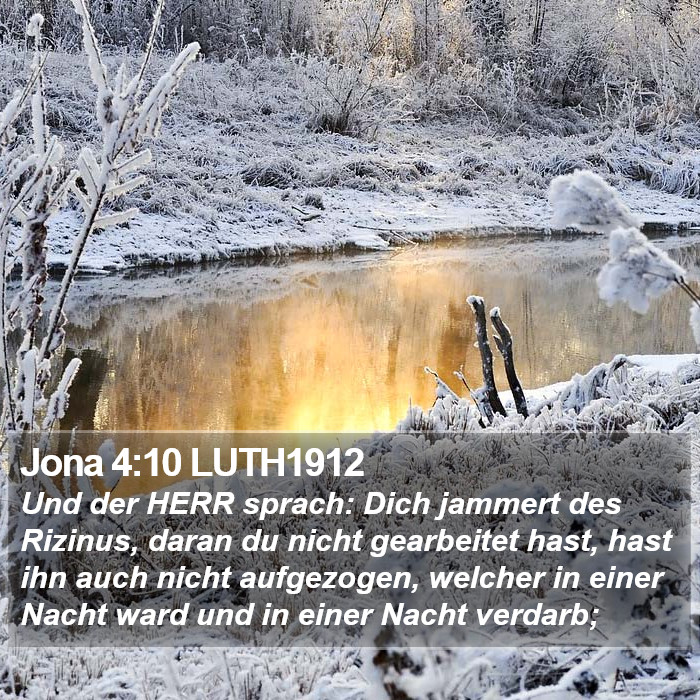 Jona 4:10 LUTH1912 Bible Study