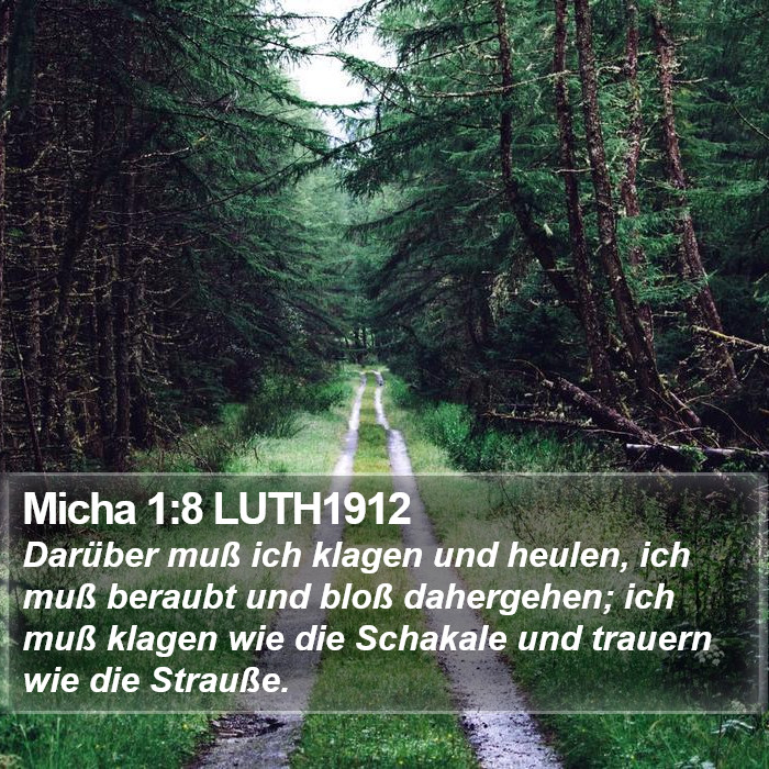 Micha 1:8 LUTH1912 Bible Study