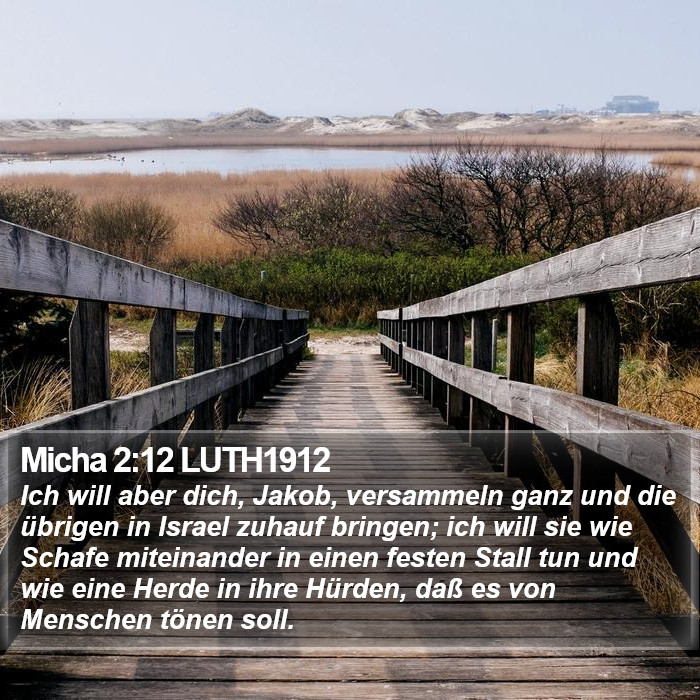 Micha 2:12 LUTH1912 Bible Study