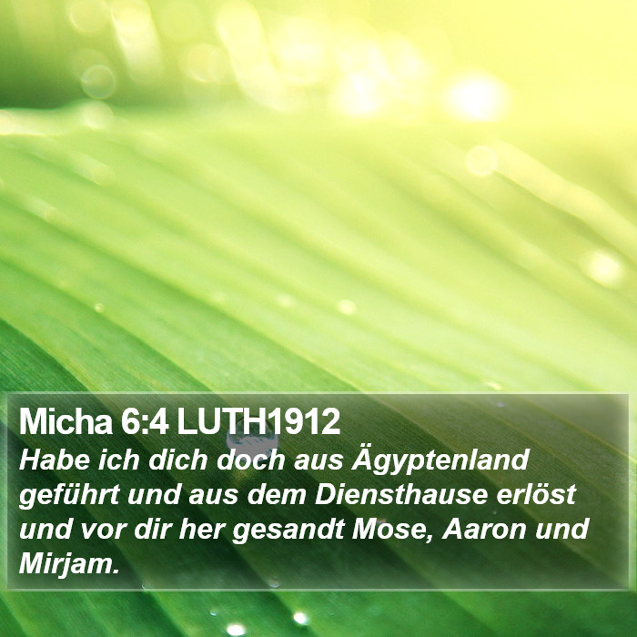 Micha 6:4 LUTH1912 Bible Study