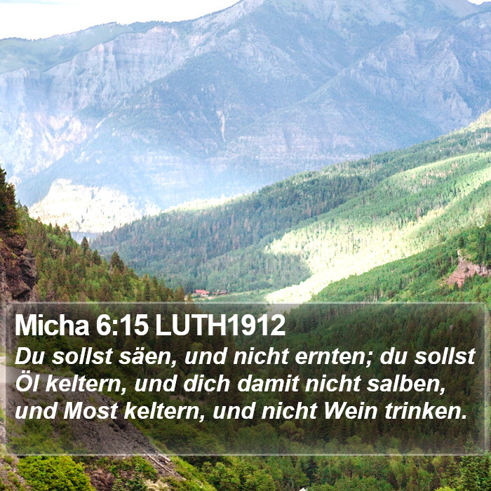 Micha 6:15 LUTH1912 Bible Study