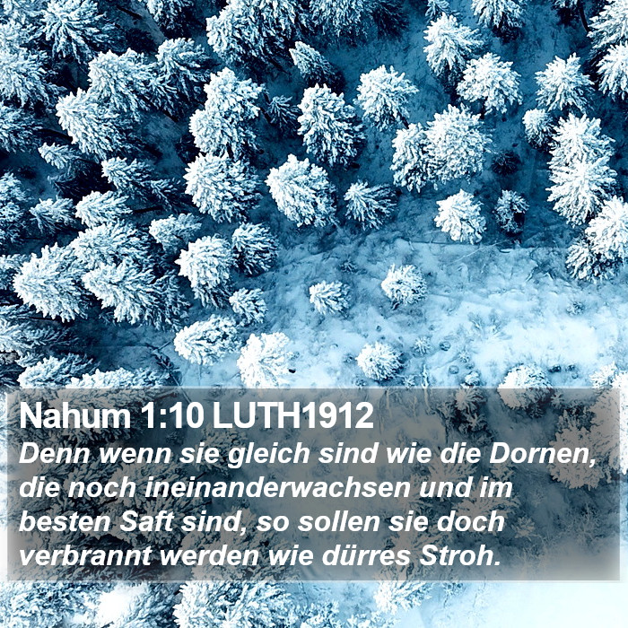 Nahum 1:10 LUTH1912 Bible Study