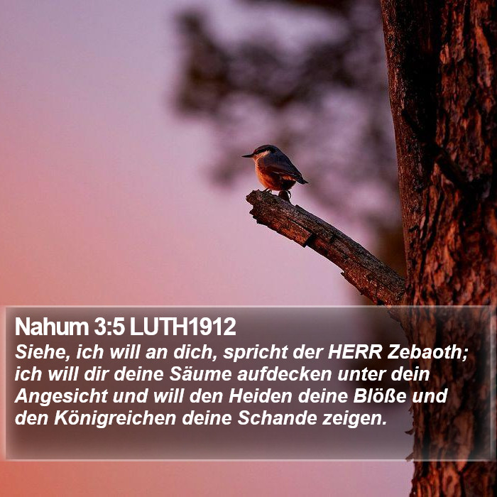 Nahum 3:5 LUTH1912 Bible Study