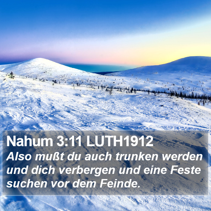 Nahum 3:11 LUTH1912 Bible Study